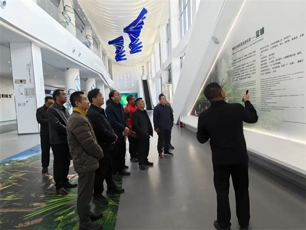 1768979250227087.jpg 1.jpg