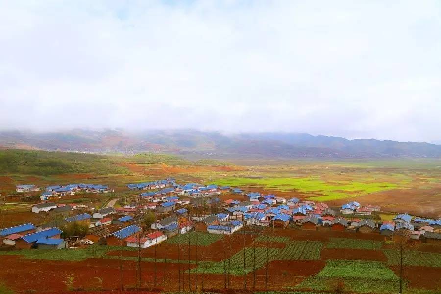 附子帶動(dòng)下的火燈村一角